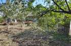 TEREN | RANCACIOV | 639 MP | INTRAVILAN | LA SOSEA | - 6