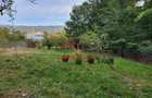 Teren intravilan in Breaza-- 2017 mp--50.000e - 13