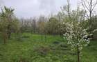 vand teren Predeal Sarari (saratel) - 1