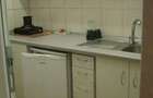 Apartament cu o camera Take Ionescu - 4