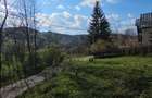 BREBU – intravilan 1800 mp, deschidere 29 ml, doar 16.900 € - 11