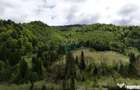 Extravilan + Intravilan | Satic-Rucar | Cadru natural | Turistic - Satic (Arges)