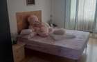 Apartament cu 2 camere semidecomandat în Central - 8