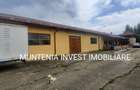 Proprietate de vanzare tip ferma, teren 28150 mp. Balilesti, Arges - 11