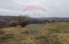 De vanzare teren intravilan, 1.505 mp - Paleu - 2