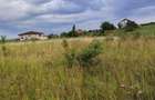 Vind teren extravilan in Valea finatelor pentru investitie la 3 km Auchan - 3