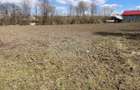 Teren Intravilan 3200 mp de vanzare - 3