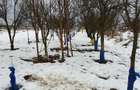 Ofer spre vanzare teren extravilan, str. Ratul Mare - 6
