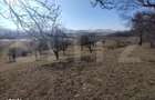 Teren extravilan de vanzare, 25 ari, zona Rusul Bargaului - 2