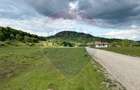 Teren de 5000 mp, în Vama Buzăului - 3