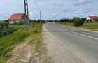 5755 mp teren intravilan Seini de vanzare, toate utilitatile, asfalt, construibil, plat, acces dublu - 2