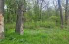 Teren Construcții de 4000 mp, în Snagov - 16