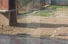 Blitz va ofera spre vanzare casa in Vladimirescu - 5
