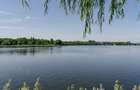 LOTURI DE VANZARE IN BRANESTI - intre 500 si 2748 mp - PUZ ABROBAT - 4