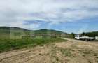 Hala, 230mp , zona Sud - 5