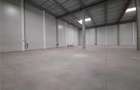 Spatii Industriale - 6500 mp - Logistica - Productie - Depozitare - Distributie - 13