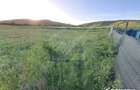 Teren agricol, în Florești - 3 Teren agricol, în Florești - 3
