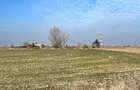 Teren Construcții de 5985 mp, în Nojorid - 8