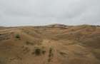Stejeris 4 Ha construibil de 5000 Quadratmeter intravilan - 6