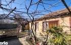 Casa 3 camere, Viile Noi ,teren 461 mp - 2