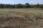 Teren Construcții intravilan de 500 mp, în Livada de Bihor - 2