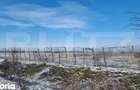 PROPRIETATE AGRICOLA PREMIUM 5 HECTARE CU LIVADA DE NUCI (CHANDL - 5