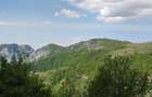 Teren Intravilan de Vanzare 928 mp | Valea Inzelului, Ramet, Alba | 7.800 - 7