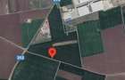 Teren Construcții de 10000 mp, în Techirghiol - 1