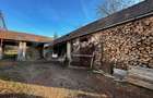 Casa cu 4 camere,baie, bucatarie,anexe.pivnita teren 2500 mp - 5