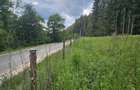 Teren Construcții de 7546 mp, în Valea Doftanei - 1