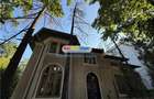 Băneasa vila interbelica P+1, 7 camere, teren 391 mp, - 30