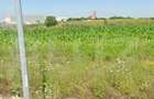 Oportunitate Investitie Teren Deschidere 20mp ,Carcea, Zona - 2