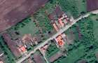 Teren Vingard - Alba intravilan 2777mp cu livada - 1