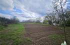 Teren agricol de 3846 mp, în Topraisar - 6