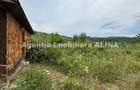 Teren intravilan 4.664 mp in Satul Boholt din Comuna Soimus, Jud. Hunedoara. - 14