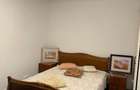 Apartament cu 2 camere semidecomandat în Podu Roș - 15