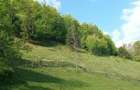 Cabanuta,teren si padure - 16