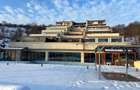 Vand apartament 4 camere Grigorescu - 5