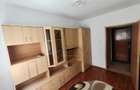 Apartament 3 Camere de Vanzare Ostirii - 8