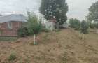 Casa 5 camere cu livada 2200 mp- Varasti - 5