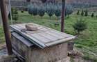 Casă cu 2 camere cu Teren 2700 Mp în Mânzălești - 5
