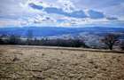 Teren Intravilan ,17.350 Mp , In Zona Borhanci - Sopor - 2