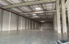 Spatiu de depozitare si productie centru logistic Chitila-Buftea - 3