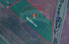 Teren de vanzare / extravilan 50.000mp/Halchiu - 3