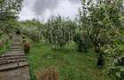 Casă cu 10 camere cu Canalizare în Grigorescu - 5