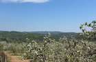 Teren 2721mp Breaza Prahova - Intravilan, Zona Exclusivista, Casa/Vila - 1