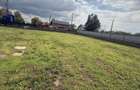 Teren intravilan 1000m2 la Sosea - 5