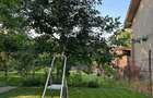 Proprietar vand casa locuibila cu teren 883 mp, front 17,5 ml, Mehala - 6