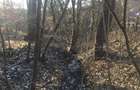 DOMENIU EXCLUSIVIST Băile Govora: 2500 mp cu Helesteu, Pârâu, Pădure, Utilități - 4