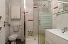 Apartament cu 2 camere decomandat în Banu Manta - 6